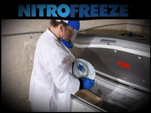 Gross-avto